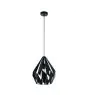 Eglo Pendant Carlton 1 Steel Black | IP20 - Suitable for 1x E27 